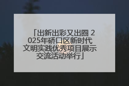 出新出彩又出圈 2025年硚口区新时代文明实践优秀项目展示交流活动举行